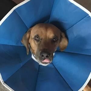 Meet your Posher, Jon